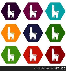 Llama icons 9 set coloful isolated on white for web. Llama icons set 9 vector