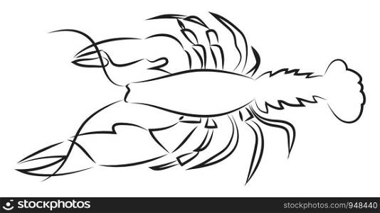 Lobster hand drawn design, illustration, vector on white background.