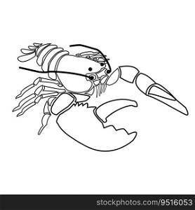 Lobster vector outline illustration, themed illustration of a lobster - marine or seafood