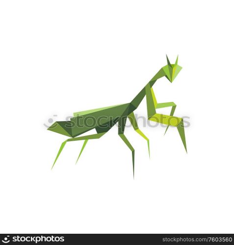 Locust isolated origami art insect. Vector green polygonal praying mantis made of paper. Praying mantis isolated green locust