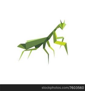 Locust isolated origami art insect. Vector green polygonal praying mantis made of paper. Praying mantis isolated green locust