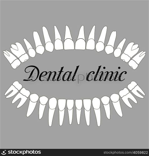 logo dental clinic, teeth upper and lower jaws in vector. Dental clinic
