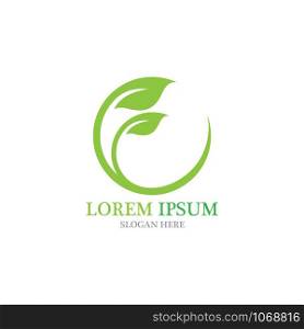Logo leaf ecology nature element vector
