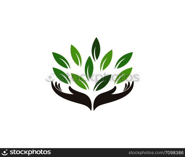 Logos of green leaf ecology nature element vector icon