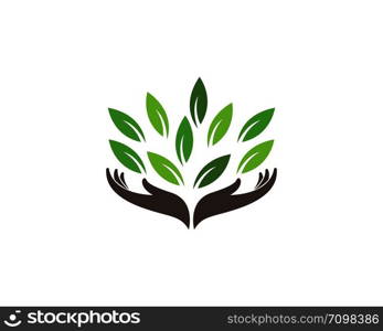 Logos of green leaf ecology nature element vector icon