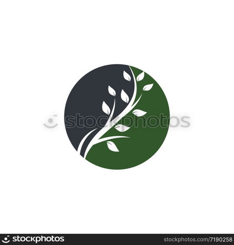 Logos of green leaf ecology nature element vector icon