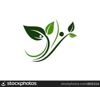 Logos of green leaf ecology nature element vector icon