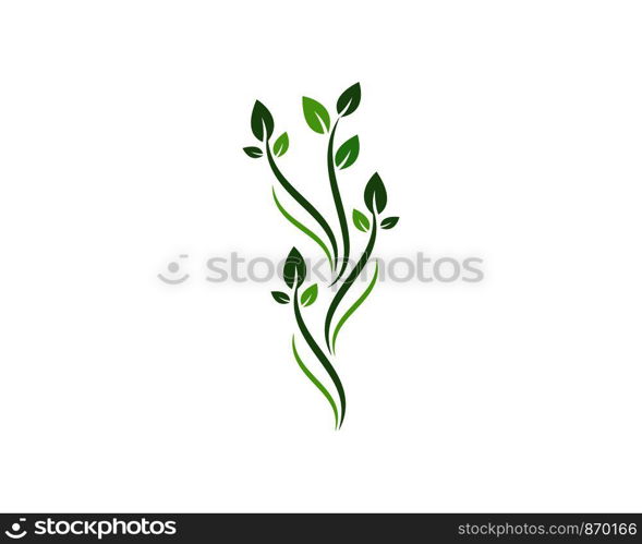 Logos of green leaf ecology nature element vector icon