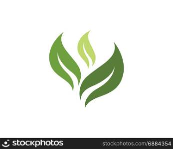 Logos of green tree leaf ecology. Logos of green tree leaf ecology nature element vector icon
