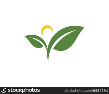 Logos of green tree leaf ecology. Logos of green tree leaf ecology nature element vector icon