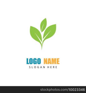 Logos of green Tree leaf ecology nature element vector