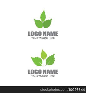 Logos of green Tree leaf ecology nature element vector