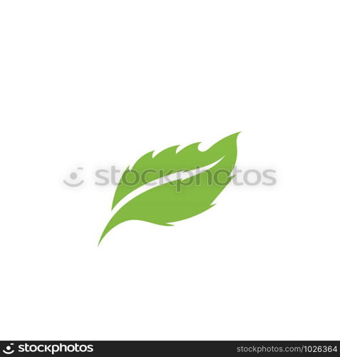 Logos of green Tree leaf ecology nature element vector