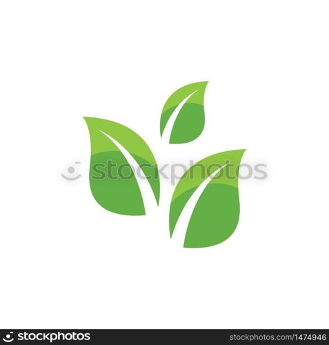 Logos of green Tree leaf ecology nature element vector