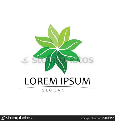 Logos of green Tree leaf ecology nature element vector