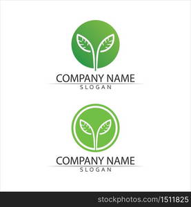 Logos of green Tree leaf ecology nature element vector