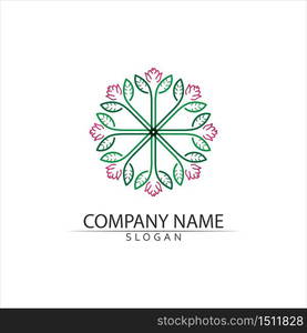 Logos of green Tree leaf ecology nature element vector