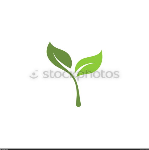 Logos of green Tree leaf ecology nature element vector