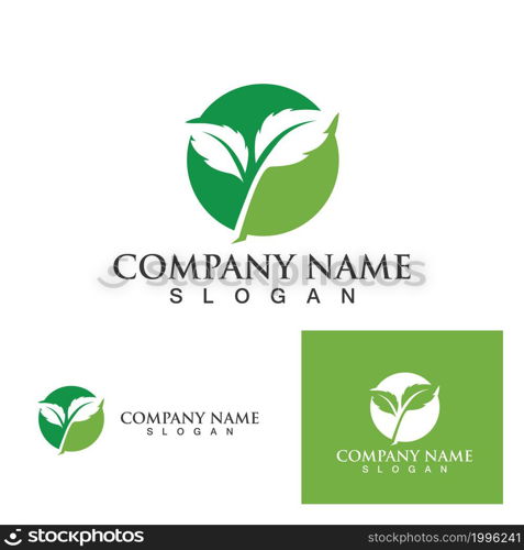 Logos of green Tree leaf ecology nature element vector