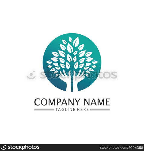 Logos of green Tree leaf ecology nature element vector