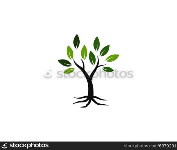 Logos of green Tree leaf ecology nature element vector