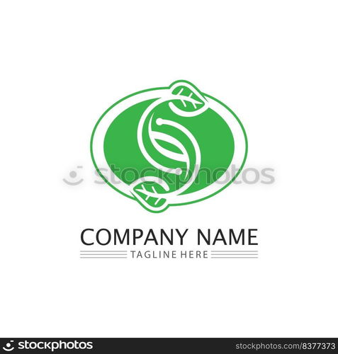 Logos of green Tree leaf ecology nature element vector