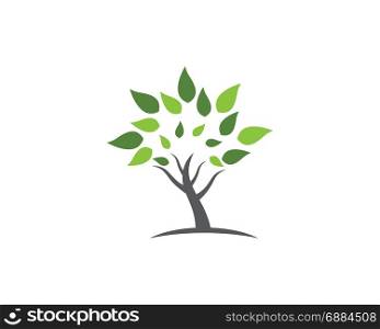Logos of green tree leaf ecology nature element vector icon