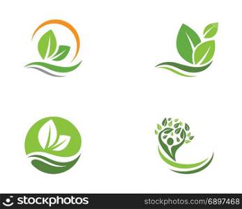Logos of green tree leaf ecology nature element vector icon