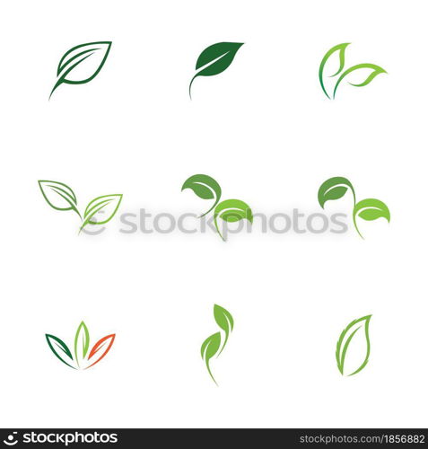 logos set of green leaf ecology nature element vector