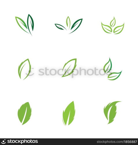 logos set of green leaf ecology nature element vector