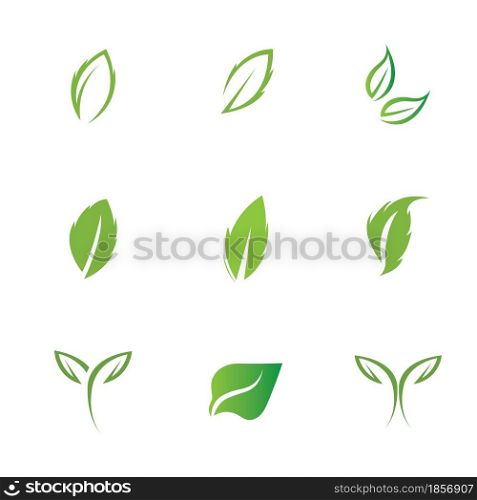 logos set of green leaf ecology nature element vector