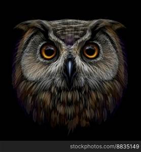 Long-eared owl vector image