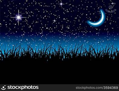 Long grass with space scape and bright cresent moon