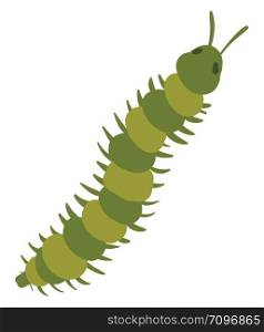 Long green centipede, illustration, vector on white background.