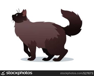 Long-haired cat with long fluffy tail icon, pet isolated on white background, domestic animal, vector illustration in flat style. Long-haired cat with long fluffy tail icon, pet isolated on white background, domestic animal, vector illustration in flat style.