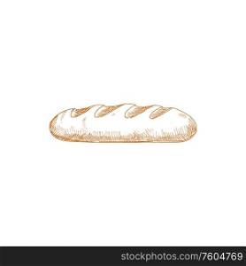 Long loaf wheat or rye bread isolated sketch. Vector pastry food of dough, bakery product. Bread loaf isolated sketch, rye pastry food