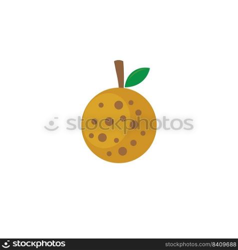 Longan fruit icon template vector design