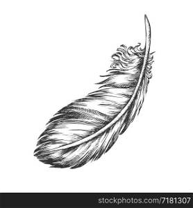 Lost Bird Outer Element Feather Monochrome Vector. Decorative Feather Flyer Detail Aid In Flight, Thermal Insulation And Waterproofing. Designed In Retro Style Black And White Illustration. Lost Bird Outer Element Feather Monochrome Vector