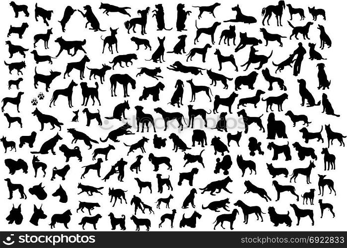 Lots of silhouettes of different breeds of dogs in action and static