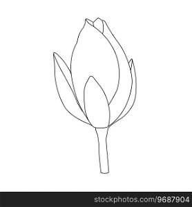 Lotus flower icon vector illustration symbol design