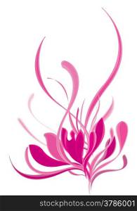 Lotus flower in vibrant pink shade
