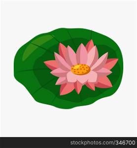 Lotus flower on green leaf icon in cartoon style isolated on white background. Lotus flower icon, cartoon style