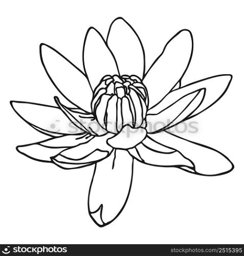 Lotus flower sketch. Doodle Lotus sketch. Simple hand drawing of a flower. Black outline. Vector illustration.
