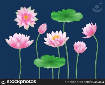 Lotus realistic buds. Nature colored flowers yoga symbols decent vector illustrations set. Flora petal lotus bud, floral pink botany. Lotus realistic buds. Nature colored flowers yoga symbols decent vector illustrations set