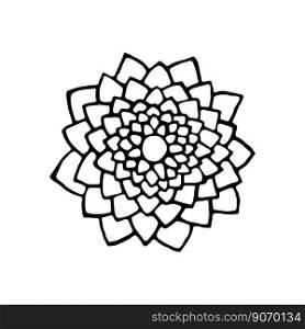 Lotus round abstract botanical texture. Hand-drawn texture in a circle. Vector