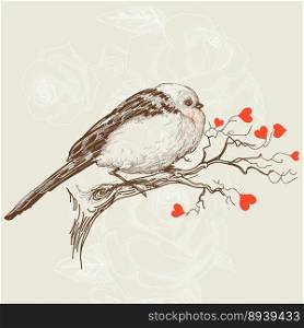 Love bird vector image