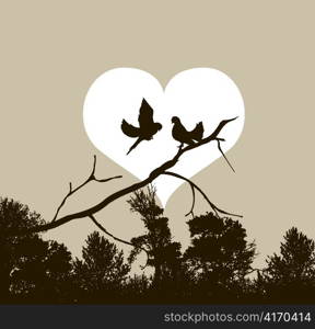 love birds vector illustration