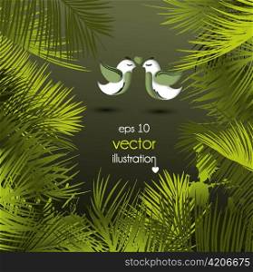 love birds with palm leaves vector illustration