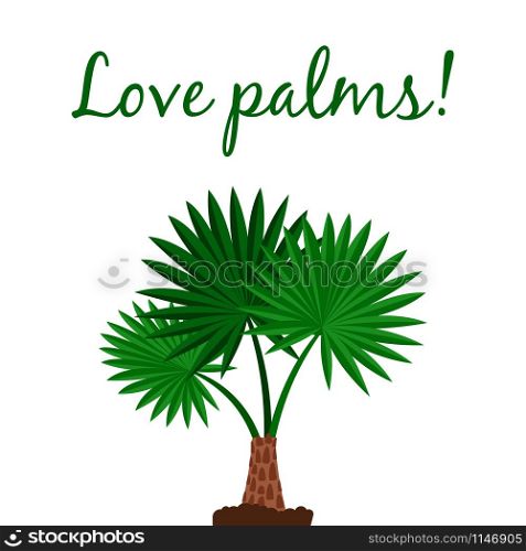 Love palms vector poster with Washingtonia palm tree. Washingtonia palm tree poster