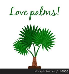 Love palms vector poster with Washingtonia palm tree. Washingtonia palm tree poster